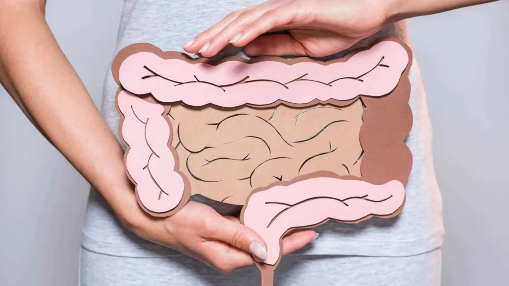 Ilustração do intestino humano sobre a região abdominal, apresentada por uma mulher